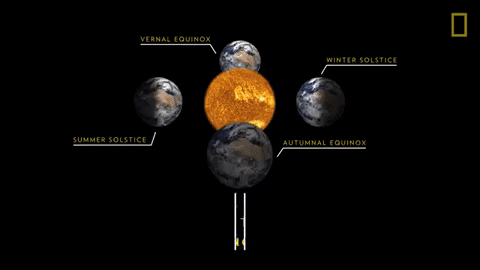 biancaanderson4c29 giphygifmaker GIF