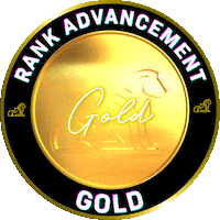 Gold Badge Sticker by Arieyl