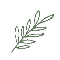 Plant Leaf Sticker by StudioAnnemarije