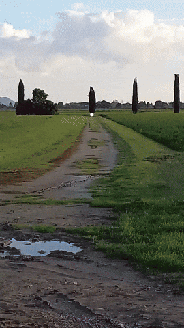 Simongip giphyupload GIF