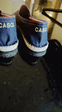 France Art GIF by Casol