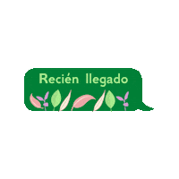 portalmartinezfarmacia novedad novedades zaidaderm recienllegado Sticker