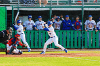 Baseball GIF by TCABB