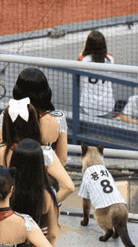 Catch Catch GIF