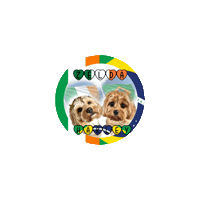 Cavachon Zh1 Sticker by Pimp Yo Pets