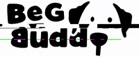 begbuddy dog dogs buddy feed GIF