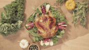 thanksgiving i'll take this GIF by evite