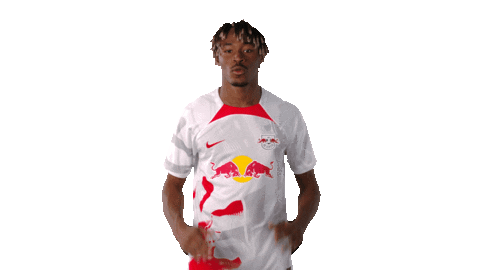 Football Sport Sticker by RB Leipzig