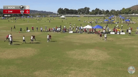 flikulti ultimate frisbee flik GIF
