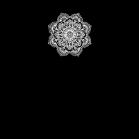 TribuYogaApp somostribu tribuyogaapp tribuyoga GIF