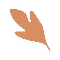 apolondon orange leaf brown shape Sticker