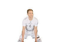 Volleyball Sticker by SWD Powervolleys Düren