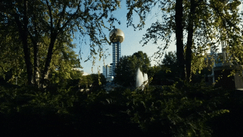 Football College GIF by Tennessee Athletics