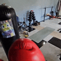 Boxing Chile GIF by Humita