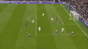 Premier League Win GIF by Tottenham Hotspur