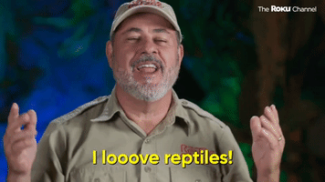 I Love Reptiles