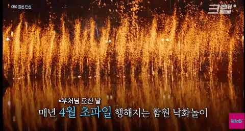 bongjunjeong giphyupload GIF