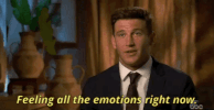 Season 14 Abc GIF by The Bachelorette