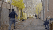 Funning Scott Caan GIF by Drama Club FOX