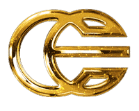 candyestetic logo candy golden salon Sticker