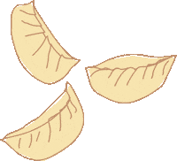 Dumplings Gyoza Sticker