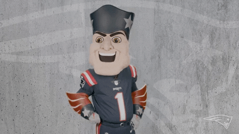Football Reaction GIF by New England Patriots