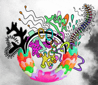 sarahthepalmer rainbow trippy psychedelic weird GIF