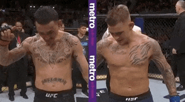 ufc sports sport ufc mma GIF