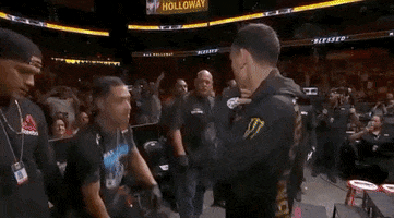 ufc sports sport ufc mma GIF