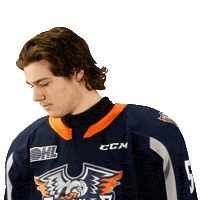Ontario Hockey League Sticker by Flint Firebirds