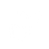 City Park Goggles Sticker by Noah's Ark