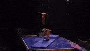 Flip Circus GIF by Ringling Bros. and Barnum & Bailey