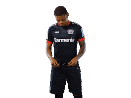 Bayer 04 Bailey Sticker by Bayer 04 Leverkusen