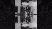 GIF by Local Natives