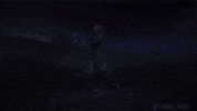 Cat Omg GIF