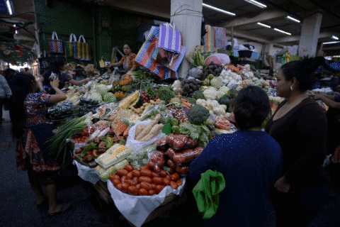 erivancamposconde giphygifmaker GIF