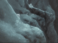 Wolfs Rain Animation GIF by All The Anime — Anime Limited