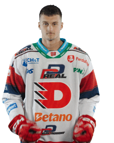 Hockey Czech Sticker by HC Dynamo Pardubice