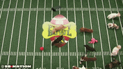 GIF by SB Nation