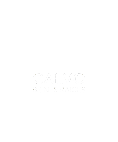 CalvoBR giphyupload Sticker