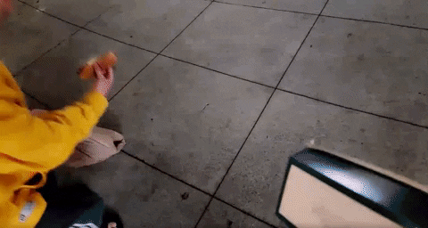 742c348079504f06ae05d27f91f4f518 giphyupload GIF