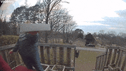 Wind Spoils Valentines Day Gift GIF by ViralHog