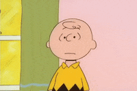 Youre Not Elected Charlie Brown GIF by Peanuts