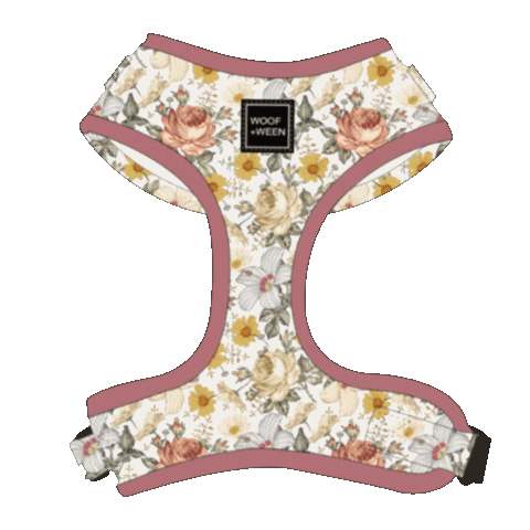 Dog Harmess Sticker by WOOF+WEEN