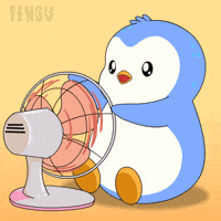 Summer Penguin GIF by Pudgy Penguins