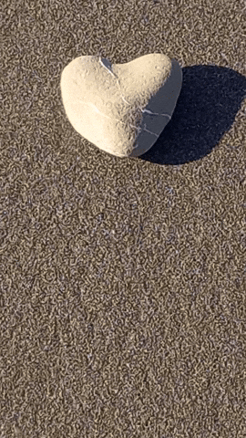 Simongip giphyupload GIF