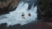 california GIF