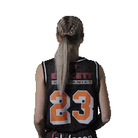Basketball Hoops Sticker by Borås Basket
