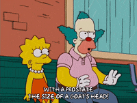 Lisa Simpson Episode 6 GIF by The Simpsons