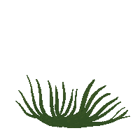 Flower Leaf Sticker by TOrZoNBorZ